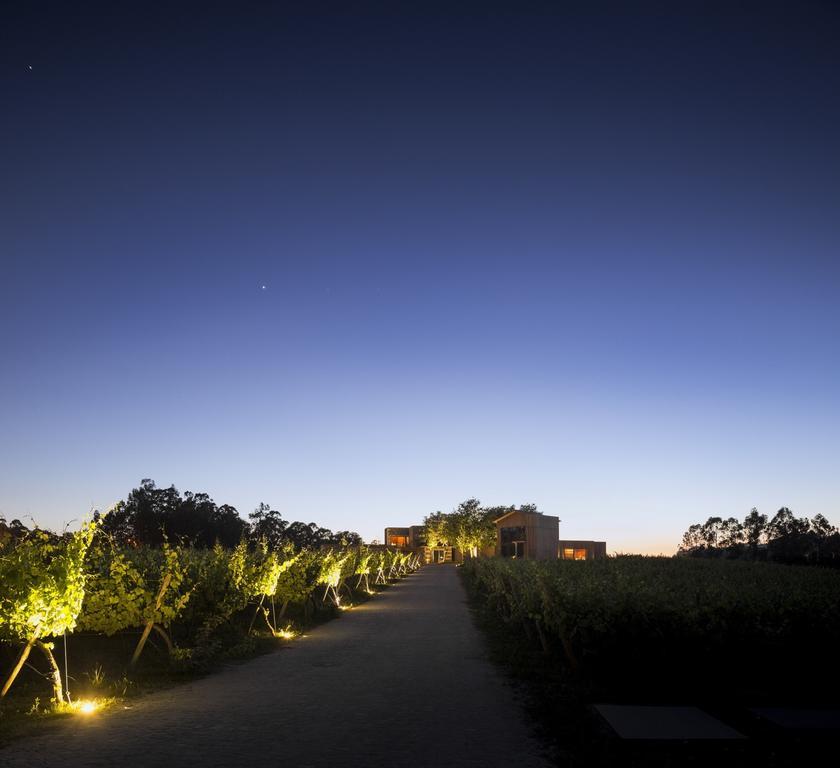 Monverde - Wine Experience Hotel - By Unlock Hotels Amarante Buitenkant foto