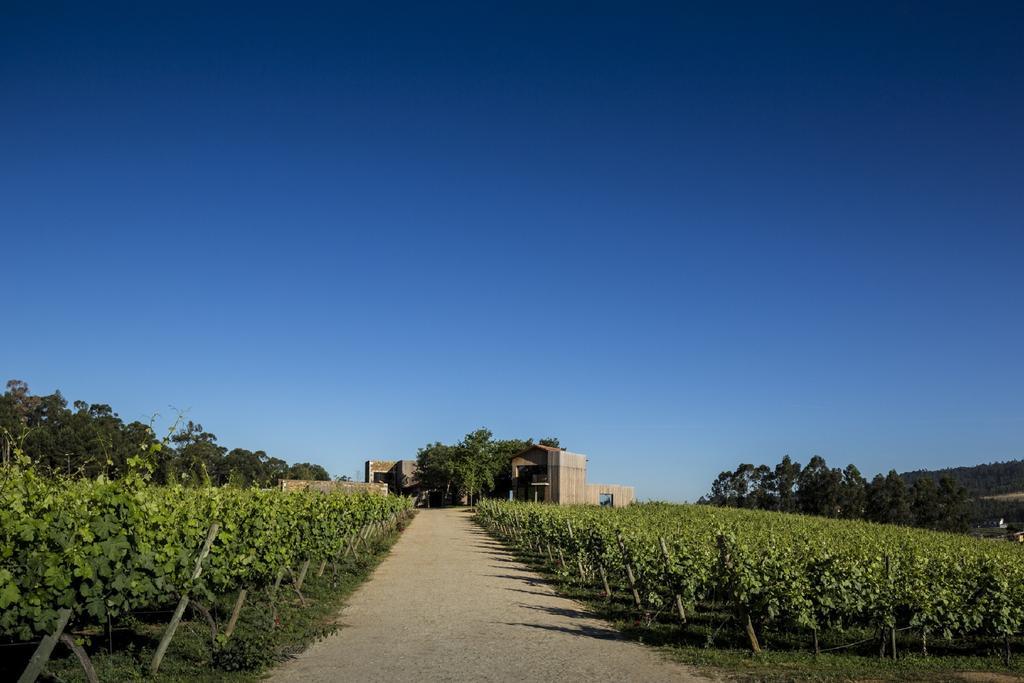 Monverde - Wine Experience Hotel - By Unlock Hotels Amarante Buitenkant foto